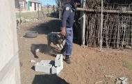 Police recover 21 sheep in Bityi, owner unknown