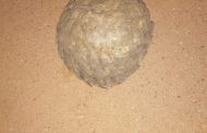 Accused appear in court for possession of pangolin