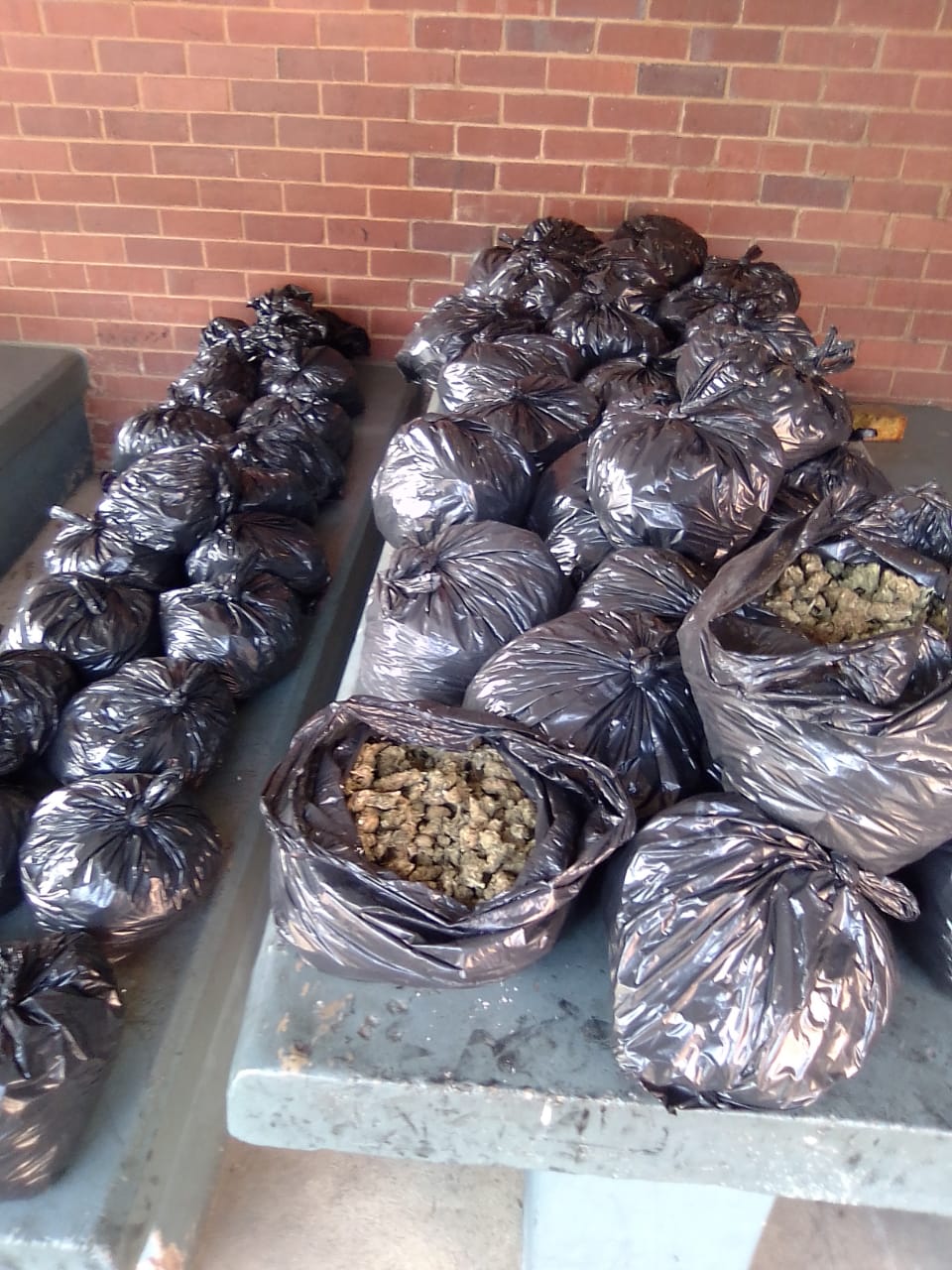 Dagga valued at approximately R200 000 recovered and four men arrested