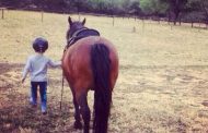 Your child wants to learn how to ride a horse, now what?