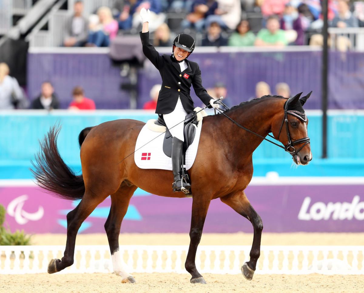 What’s happening in the Para Equestrian competition
