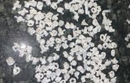 Man in court after being nabbed with drugs