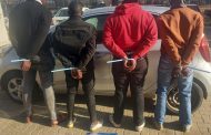 Alleged house robbery foiled at Riebeeckstad