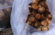 Seven suspects arrested for over R1.4 million worth of abalone