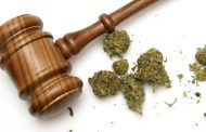 Two suspects due to appear before court for possession of dagga