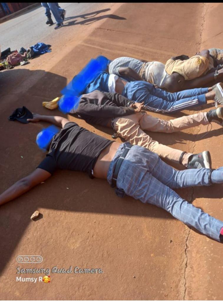 Suspects terrorising communities in Mopani and Waterburg Districts stopped in their tracks as more than 1000 arrests are made across the province