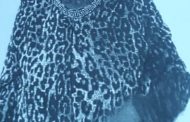 Assist the police in finding the missing woman