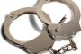 House break-in suspect apprehended in Brindhaven