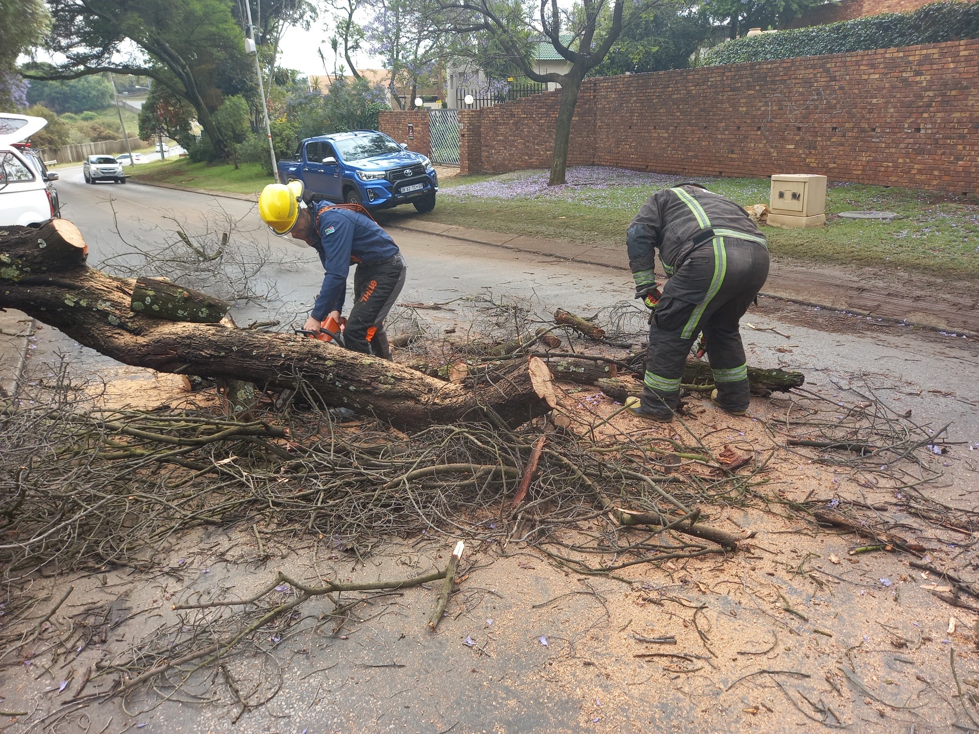 Road cleared after fallen tree on Topaz Avenue blocked both lanes