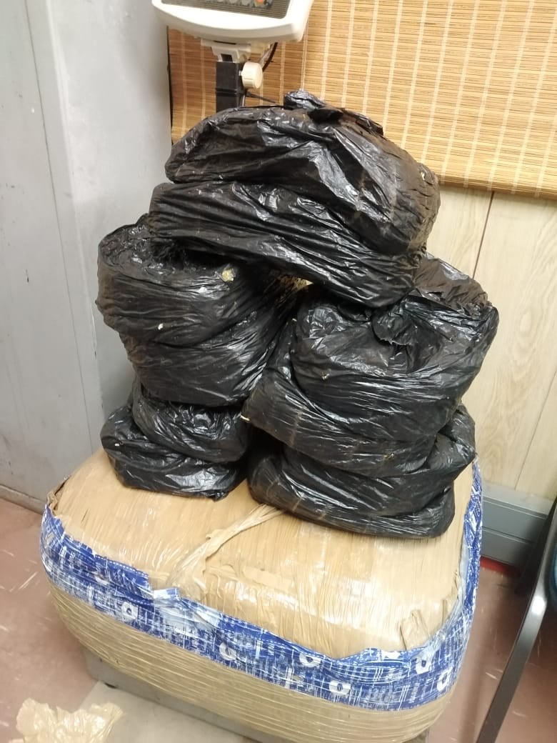 Intelligence operation takes aim at illegal drug trade in Oudtshoorn