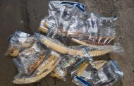 Suspects to appear in court for dealing in Elephant tusks