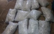 Central Karoo K9 unit clamps down on drugs worth almost R1 million