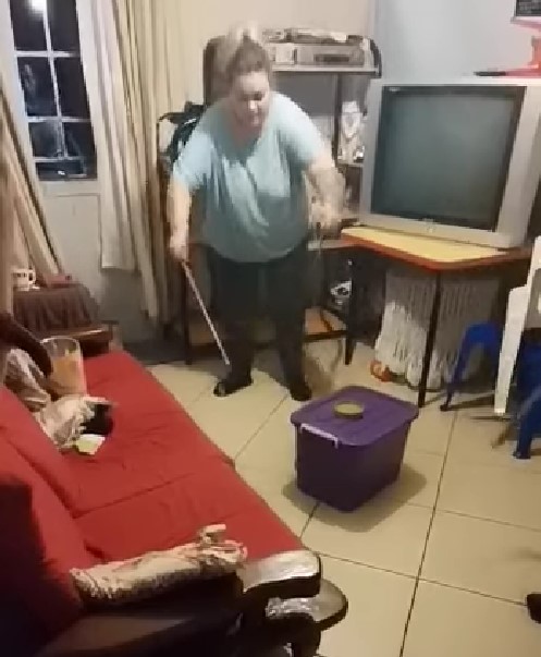 Snake Captured In Living Room: Belvedere - KZN