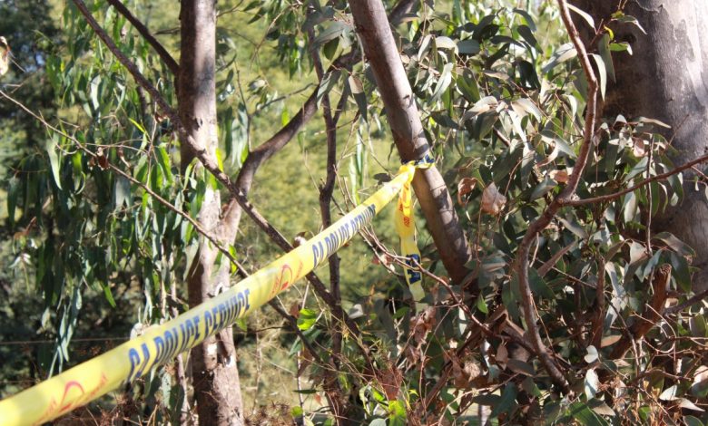 Body of unknown male found