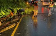 First responders clear road of fallen tree at Ontdekkers Road by Olympus Street.