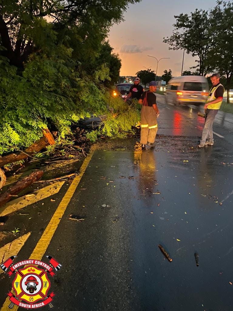 First responders clear road of fallen tree at Ontdekkers Road by Olympus Street.