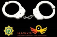Suspects nabbed for alleged drug dealing