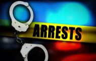 Suspects arrested on charges of business robbery and possession of stolen property