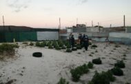 Integrated operation lands suspect behind bars for cultivating dagga