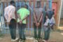 Safer Festive Season Operations yields positive results in Southern Cape