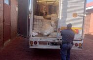 Suspects in court for illicit cigarettes