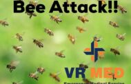 Two VRMED medics injured in bee attack while attending collision in Curie avenue in Bloemfontein.