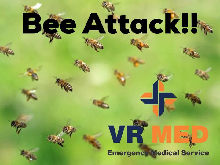 Two VRMED medics injured in bee attack while attending collision in Curie avenue in Bloemfontein.