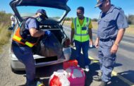 Kimberley SAPS conducts Easter cross border roadblock