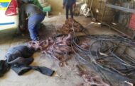 Large amount of copper cables confiscated
