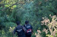 Decomposing body discovered in a bush in Waterloo