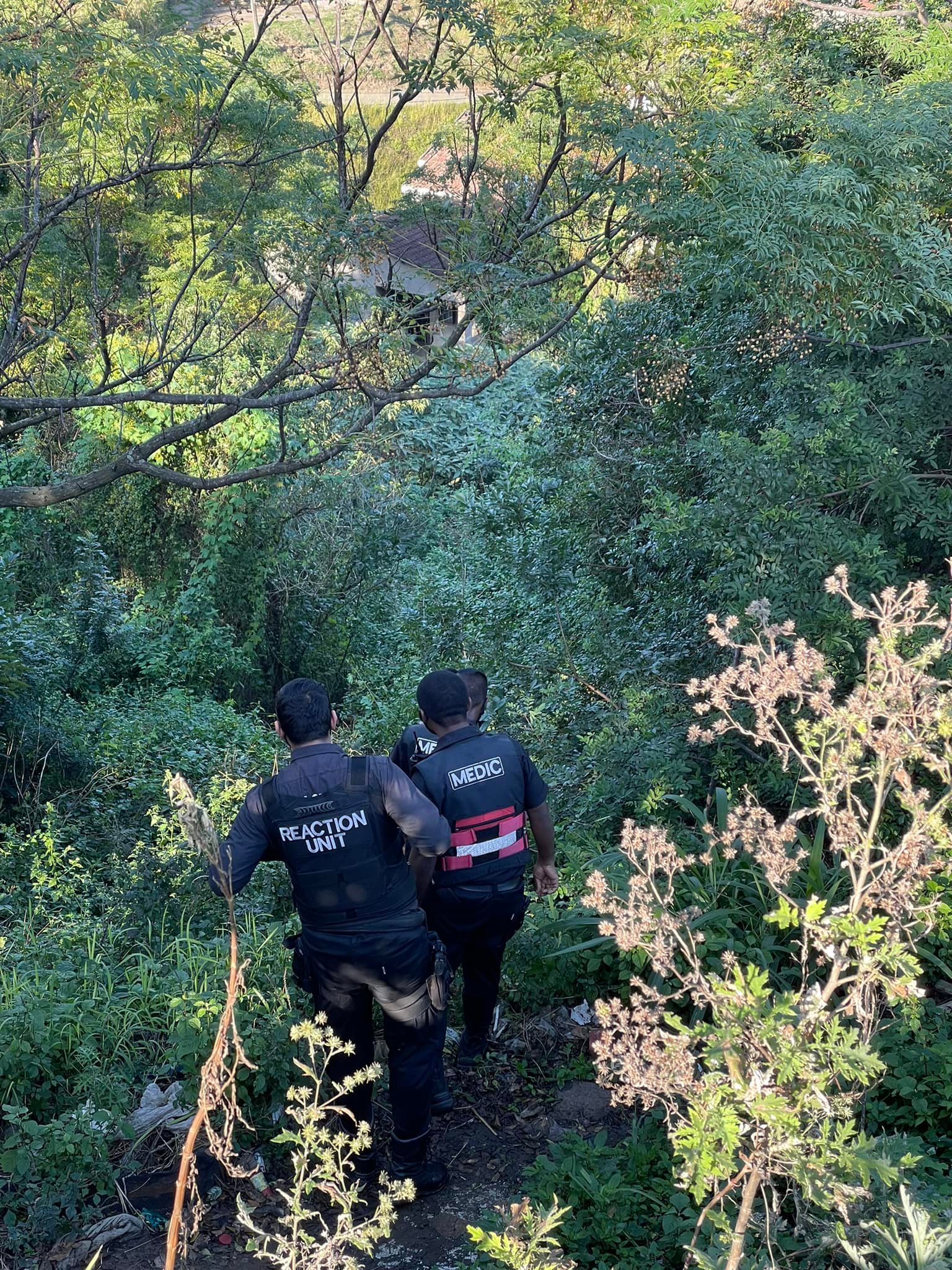 Decomposing body discovered in a bush in Waterloo