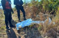 Teenager murdered after being accused of stealing a cellular phone