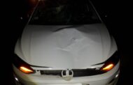 Pedestrian Run Over: R102 Canelands - KZN