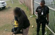 Theft suspect apprehended in Brindhaven