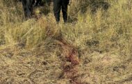 Murdered man stabbed forty times in Oakford