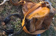 Female Commuter Ditches Clothing After Chemical Spillage: Ntuzuma - KZN