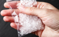 Suspect busted with illegal drugs in Despatch