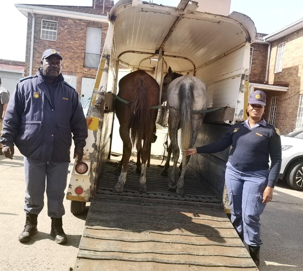 Swift police action to stock theft case yields success