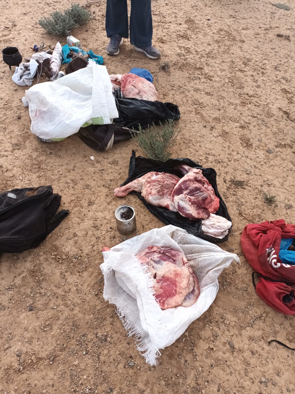 Vanwyksvlei trio to appear in court for stock theft