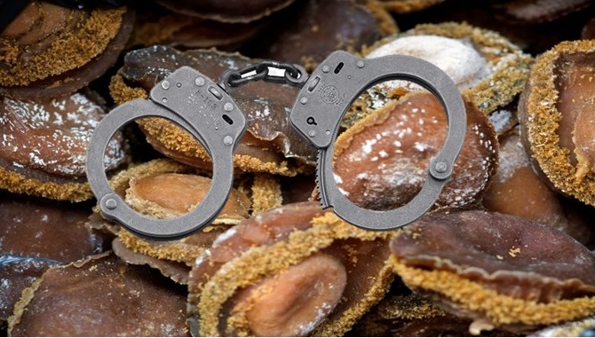 Suspect arrested for possession of abalone