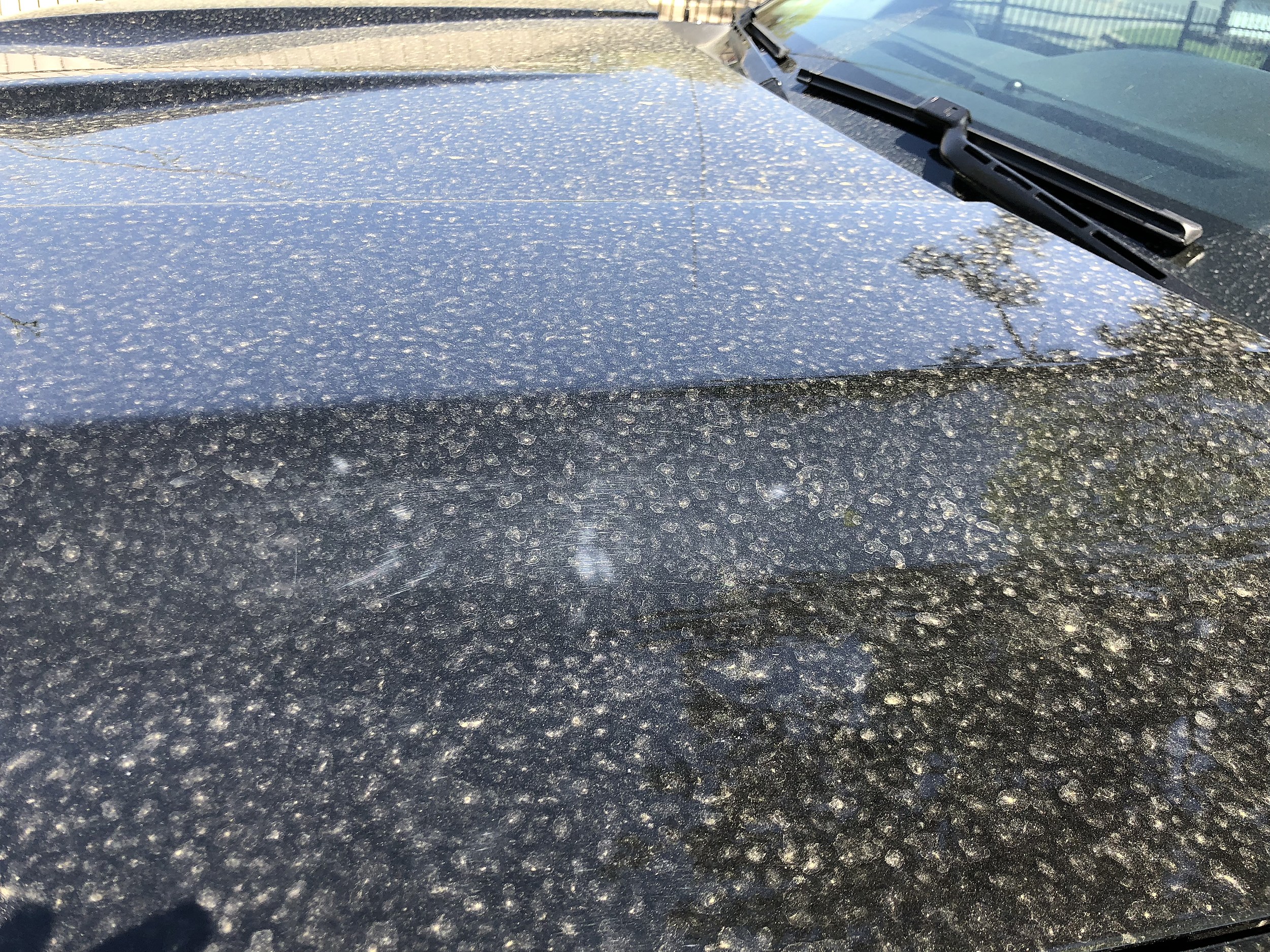 The effect of pollen on your vehicle