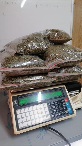 Dagga dealing suspects arrested in Hercules at Gomora squatter camp