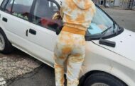 Theft Of Motor Vehicle: Canelands - KZN