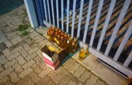 Liquor thieves arrested in the Newton Park area