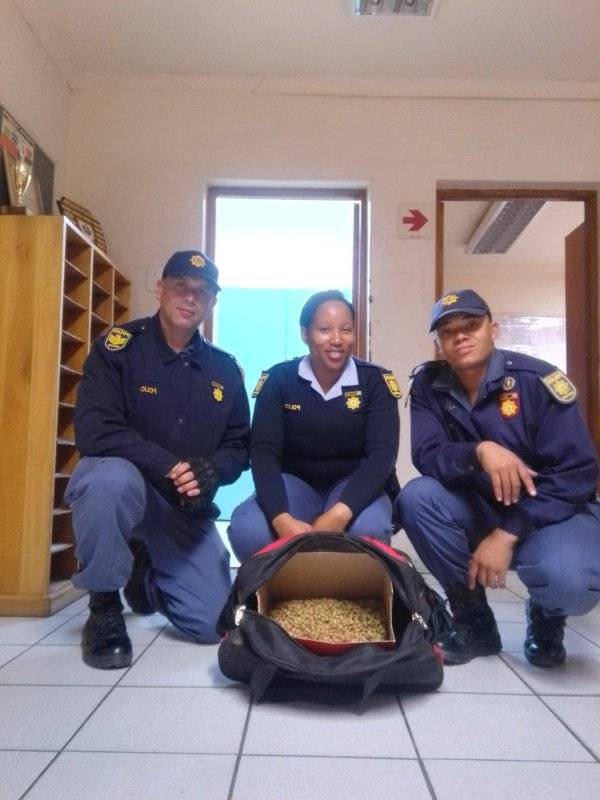 Police pounce on alleged poacher and seized R1.6 million of succulents in Garies
