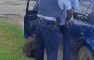 Drug arrests made during a roadblock held by the Traffic Department in Amathole District