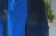 Information sought by Bela Bela police to help locate missing elderly man