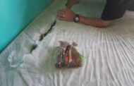 Suspects in custody for dealing in drugs