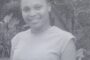 Thieves Fish Koi From Pond: Trenance Park - KZN