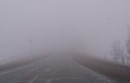 Fog and misty conditions on road R81, between Dikgale and Mooketsi